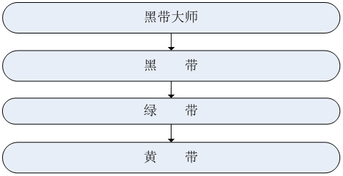 精益六西格玛实施组织架构和职能职责