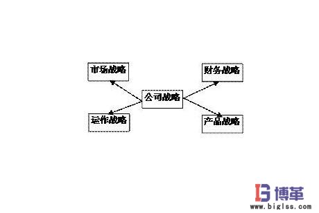 公司战略 公司战略