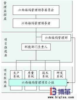 六西格玛推进组织 六西格玛推进组织