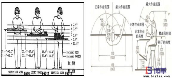 动作经济图解 动作经济图解