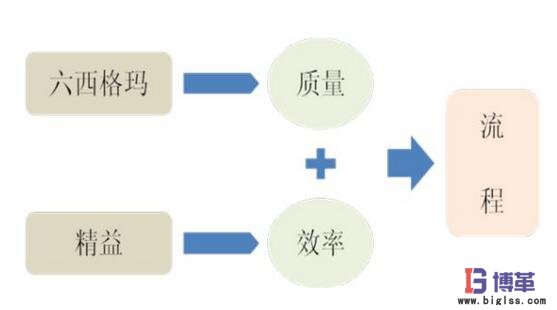 精益六西格玛 精益六西格玛