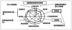 QC七大工具之雷达图